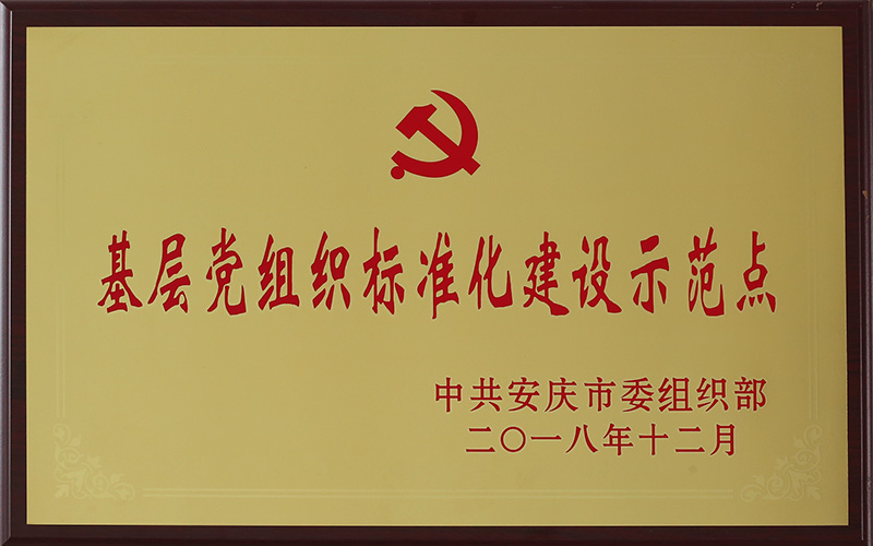 基層黨組織標準化建設(shè)示范點